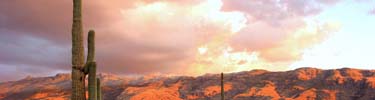 Summer monsoon sunset - Photo by John Williams